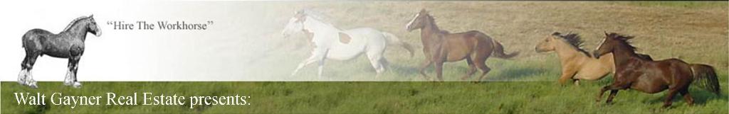 Running Horses